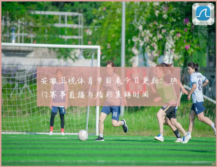 安徽卫视体育节目表今日更新:热门赛事直播与精彩集锦时间