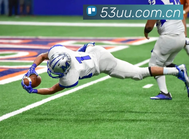 开云官方在线登陆入口APP 封面图